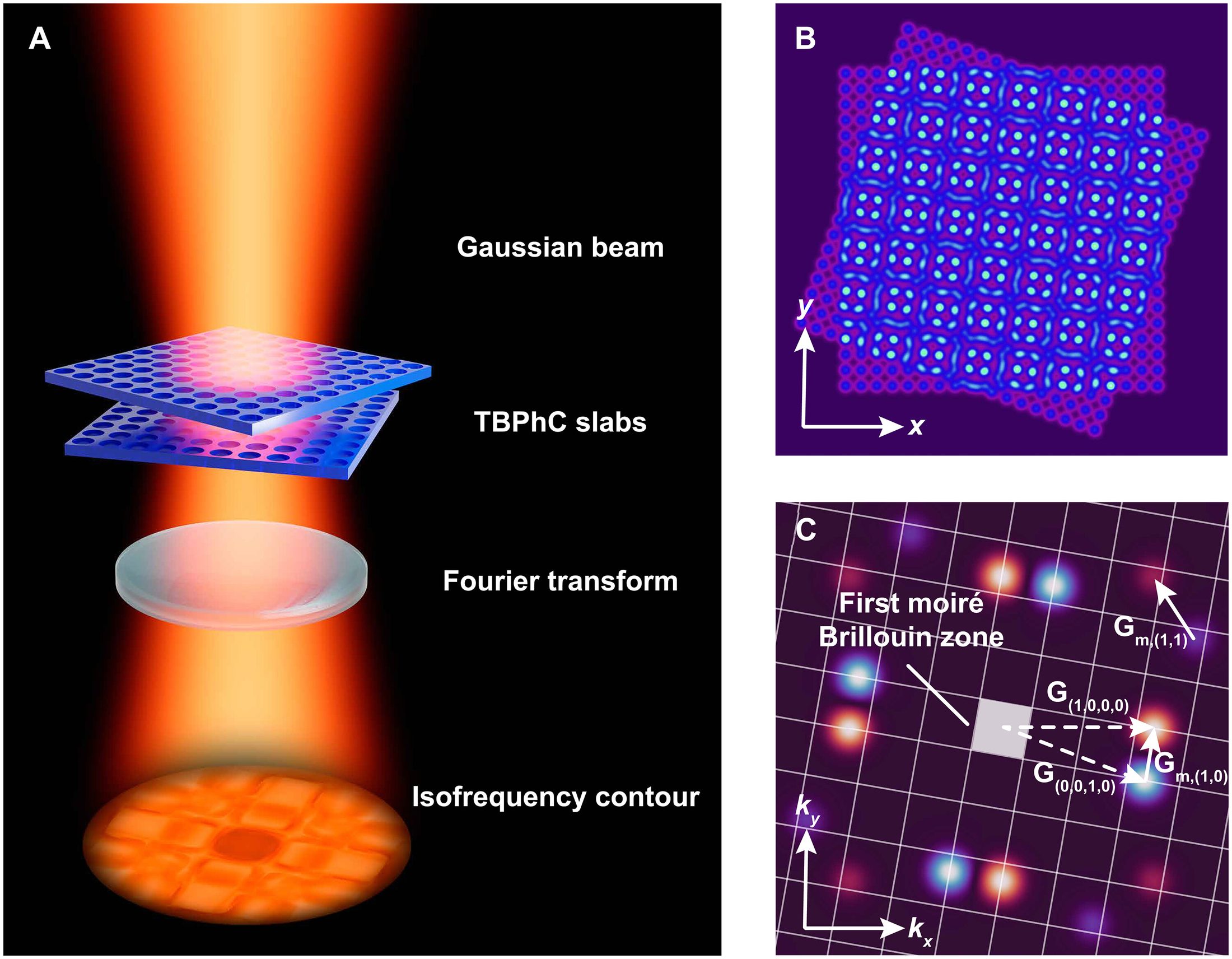 Science Advances figure on photonic metamaterials.
